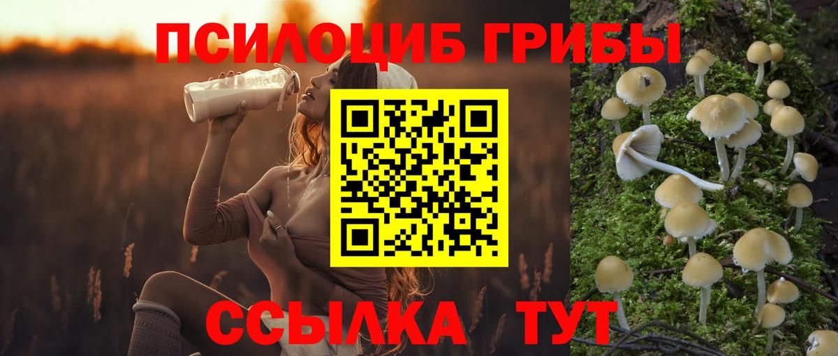 Ялта  Галлюциногенные грибы Magic Shrooms  Псилоцибиновые грибы Cubensis  Вход с VPN 